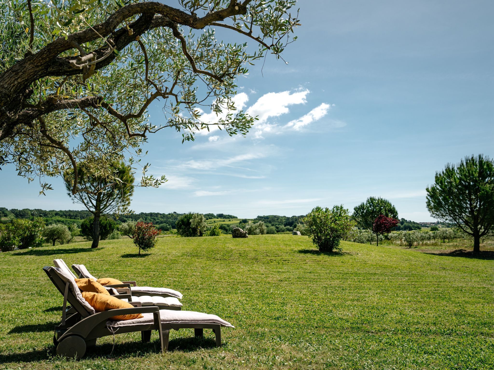 Overnattingsstedets uteområder