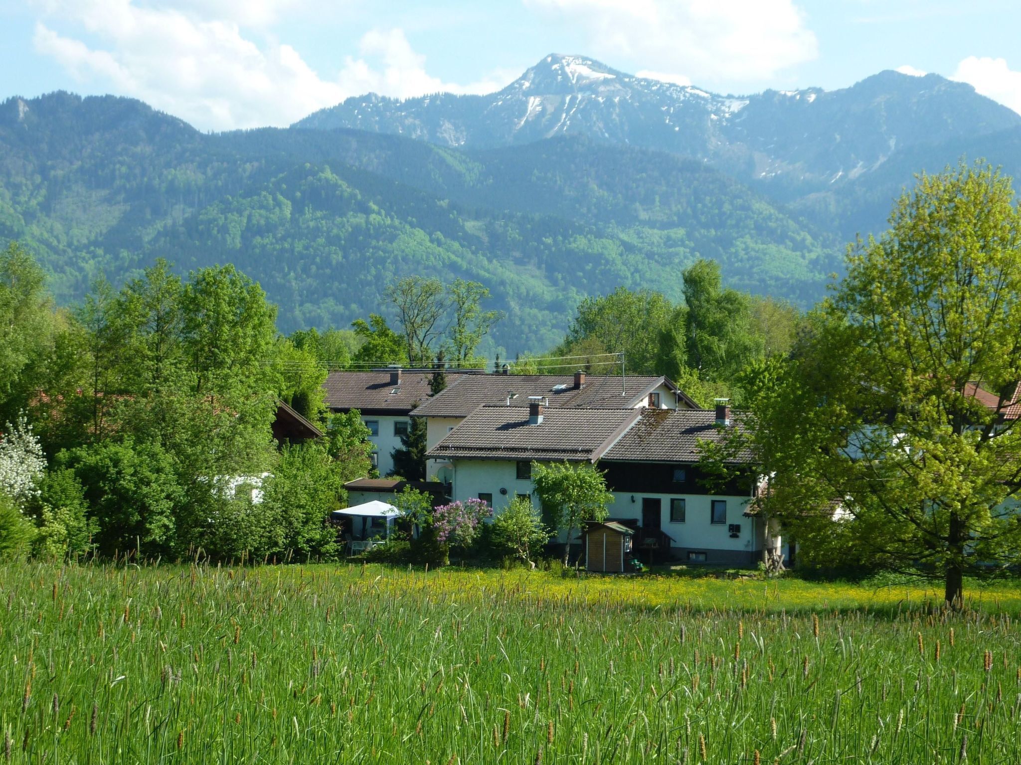 A house with a sloped roof, surrounded by lush greenery and a field.