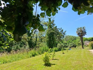 Property grounds - Le Bois aux Ecureuils (Eichhörnchenwald) by Interhome (Denneville)