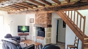 Chimenea, reproductor de DVD