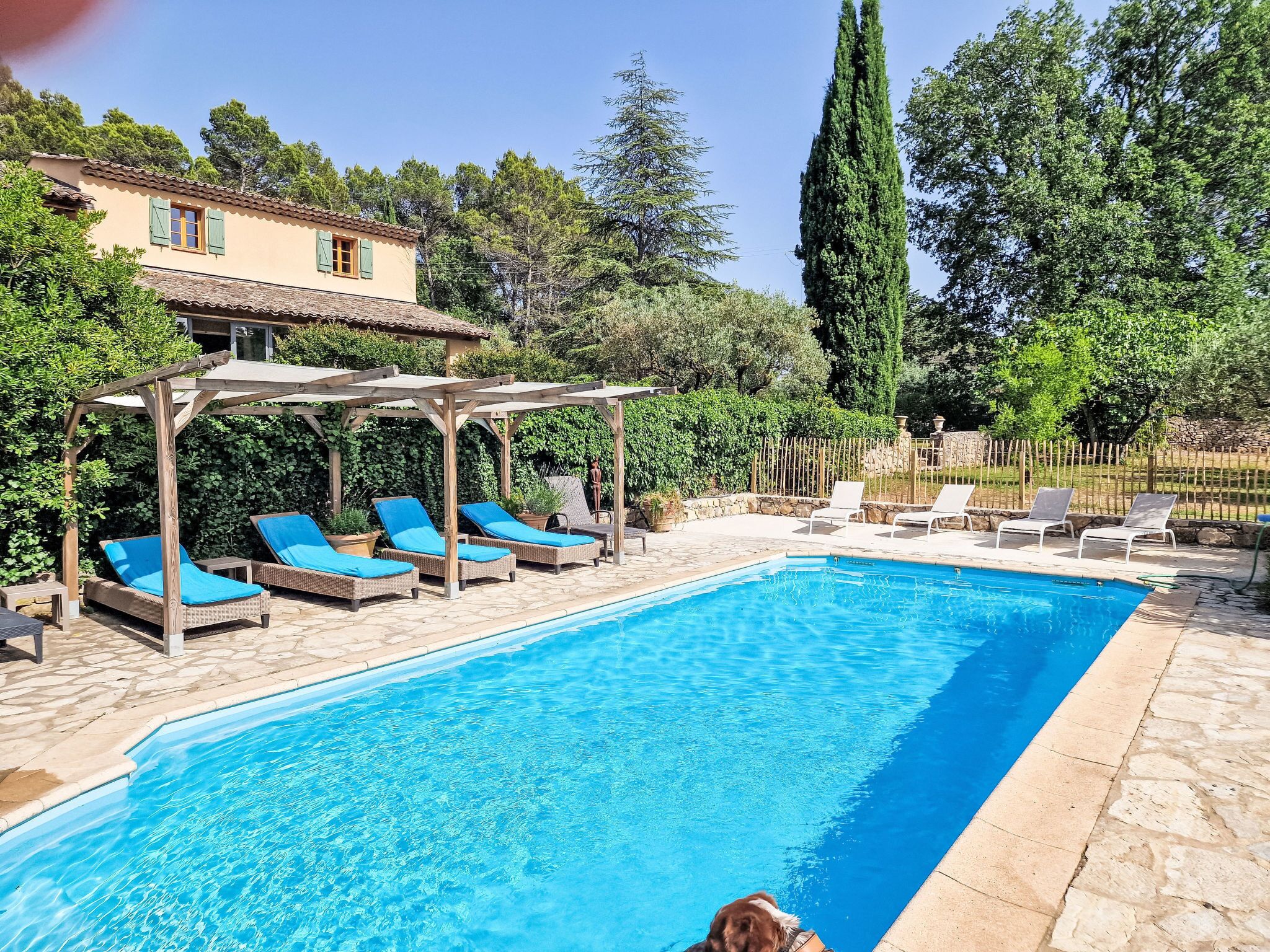 A swimming pool with lounge chairs, a pergola, and a stone patio.