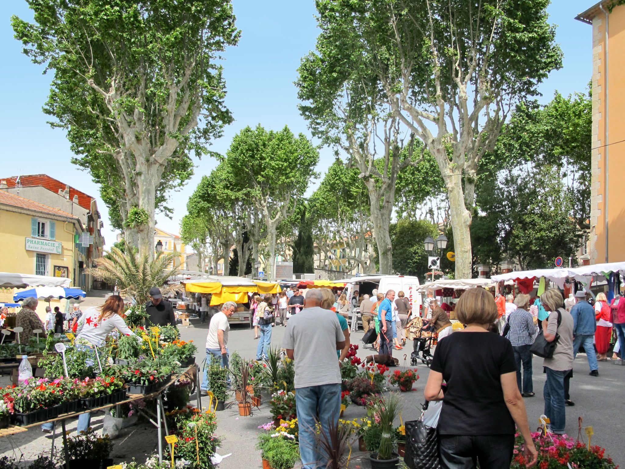 A bustling outdoor market with various stalls selling flowers and plants.