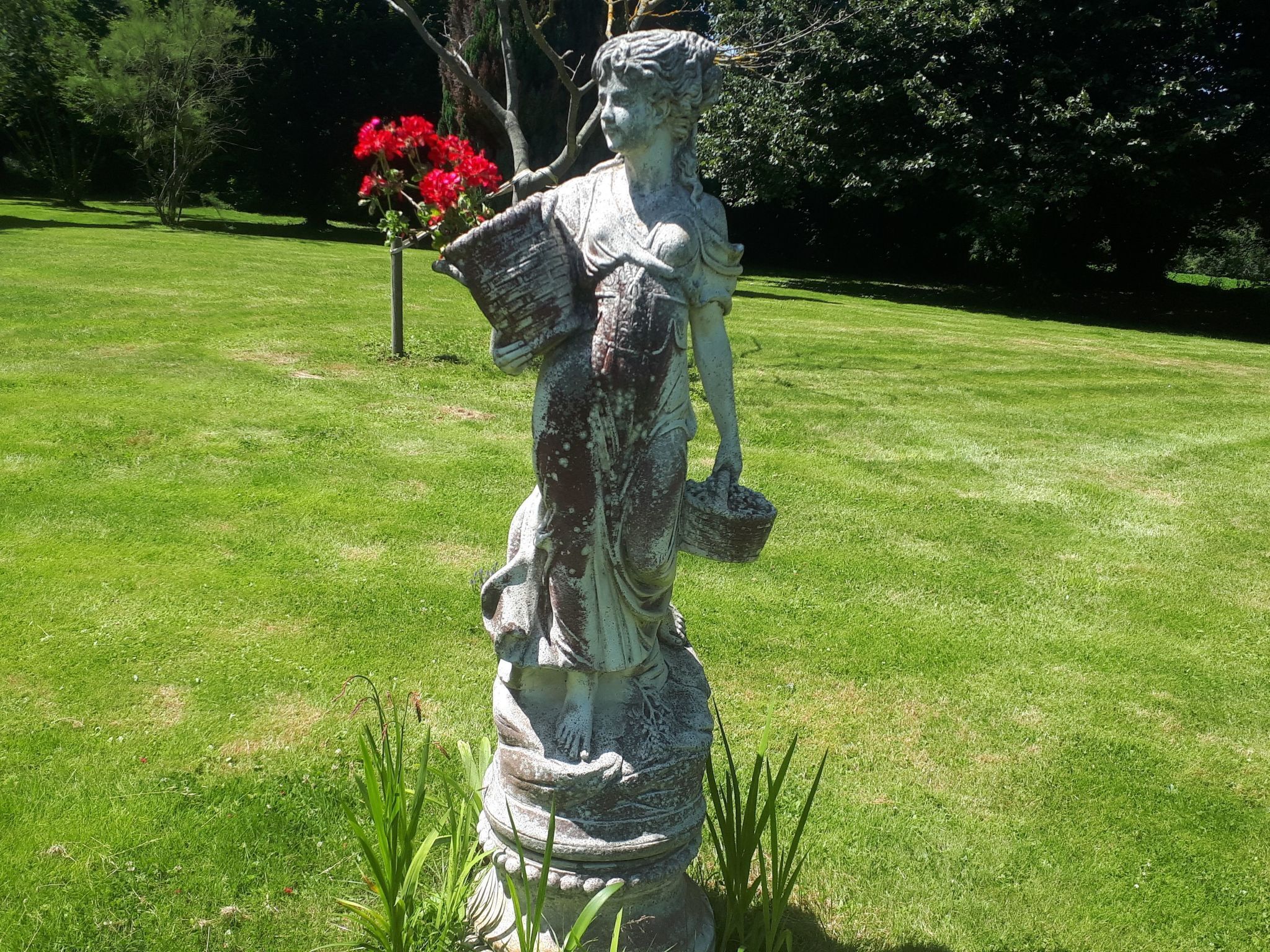 Terrain de l’hébergement 