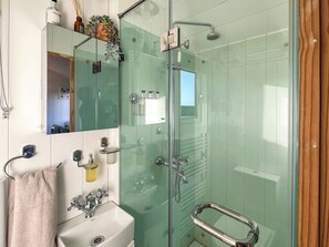 A modern bathroom with a glass shower enclosure, a white sink, and a mirror above the sink.