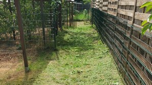 A grassy area with a wooden fence and metal railing, likely part of a garden or outdoor space.