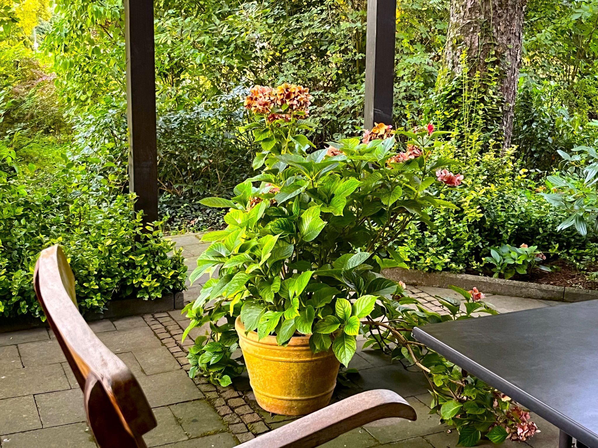 Un patio ajardinado con una mesa y sillas, rodeado de abundante vegetación y plantas en flor.