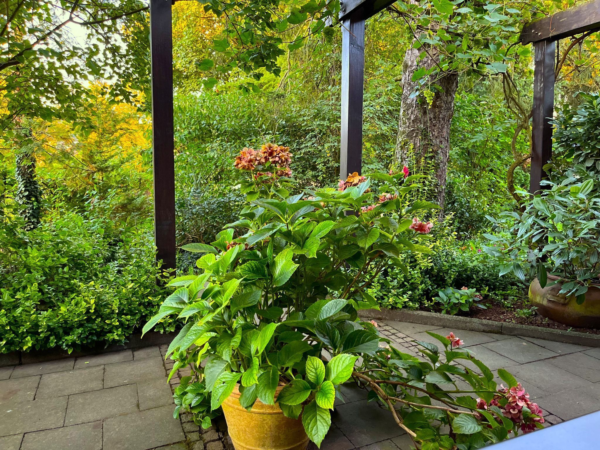 Terrain de l’hébergement 