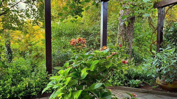 Ein Garten mit vielfältigen Pflanzen und einer Holz-Pergola.