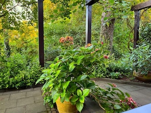 A garden with a variety of plants and a wooden pergola structure. - Weyerhof2 by Interhome (Kobern-Gondorf)