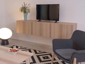Télévision