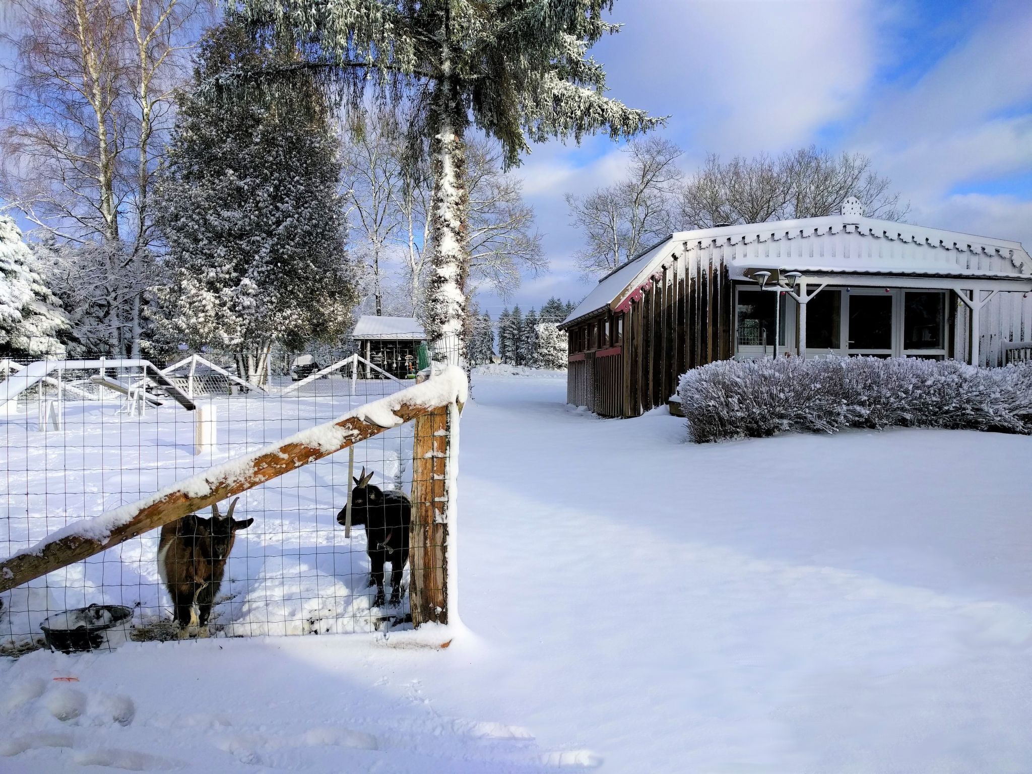 Área da propriedade