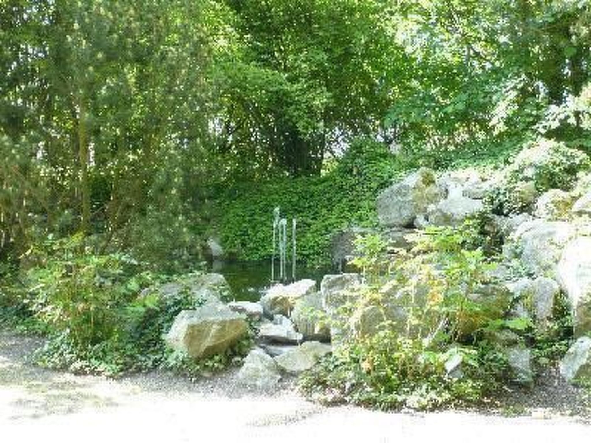 Un espacio natural al aire libre con rocas y abundante vegetación.
