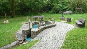 A park with a stone pathway leading to a small pond with a wooden structure. There are benches and a trash can nearby. - Apartment Klein by Interhome (Dickenschied)