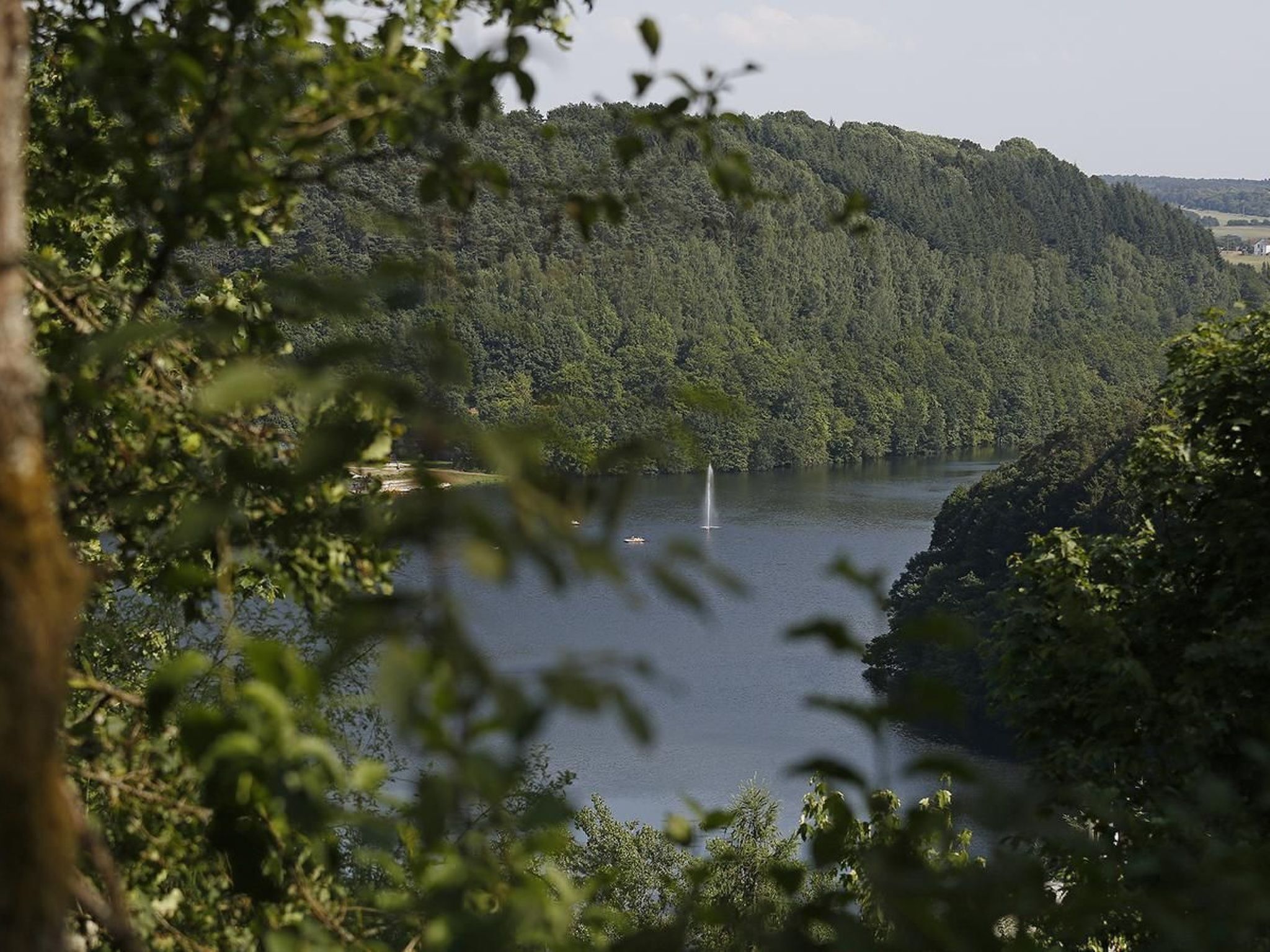 A lake surrounded by dense forest with a visible waterfall.