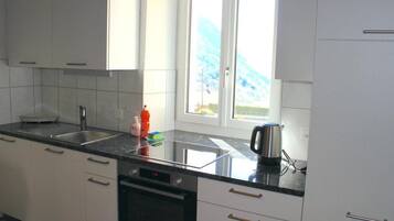 Fridge, dishwasher, cookware/dishes/utensils