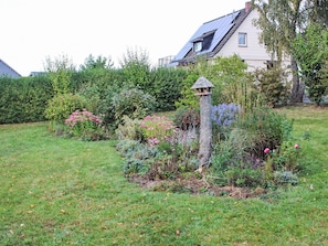 Een tuin met verschillende planten en een vogelhuisje.