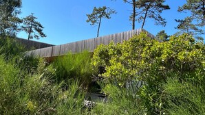 Property grounds - La Maison Pinède by Interhome (Lit-et-Mixe)