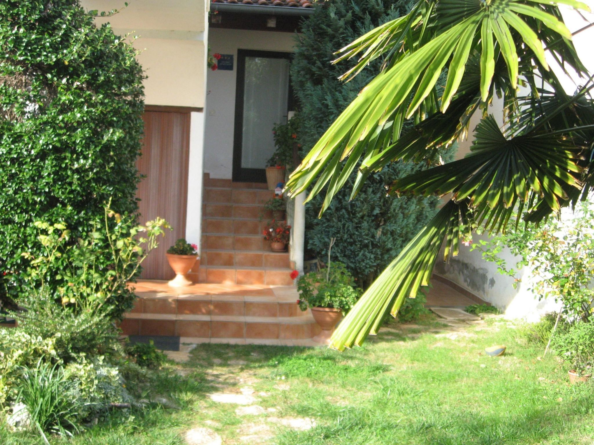Detalle del exterior