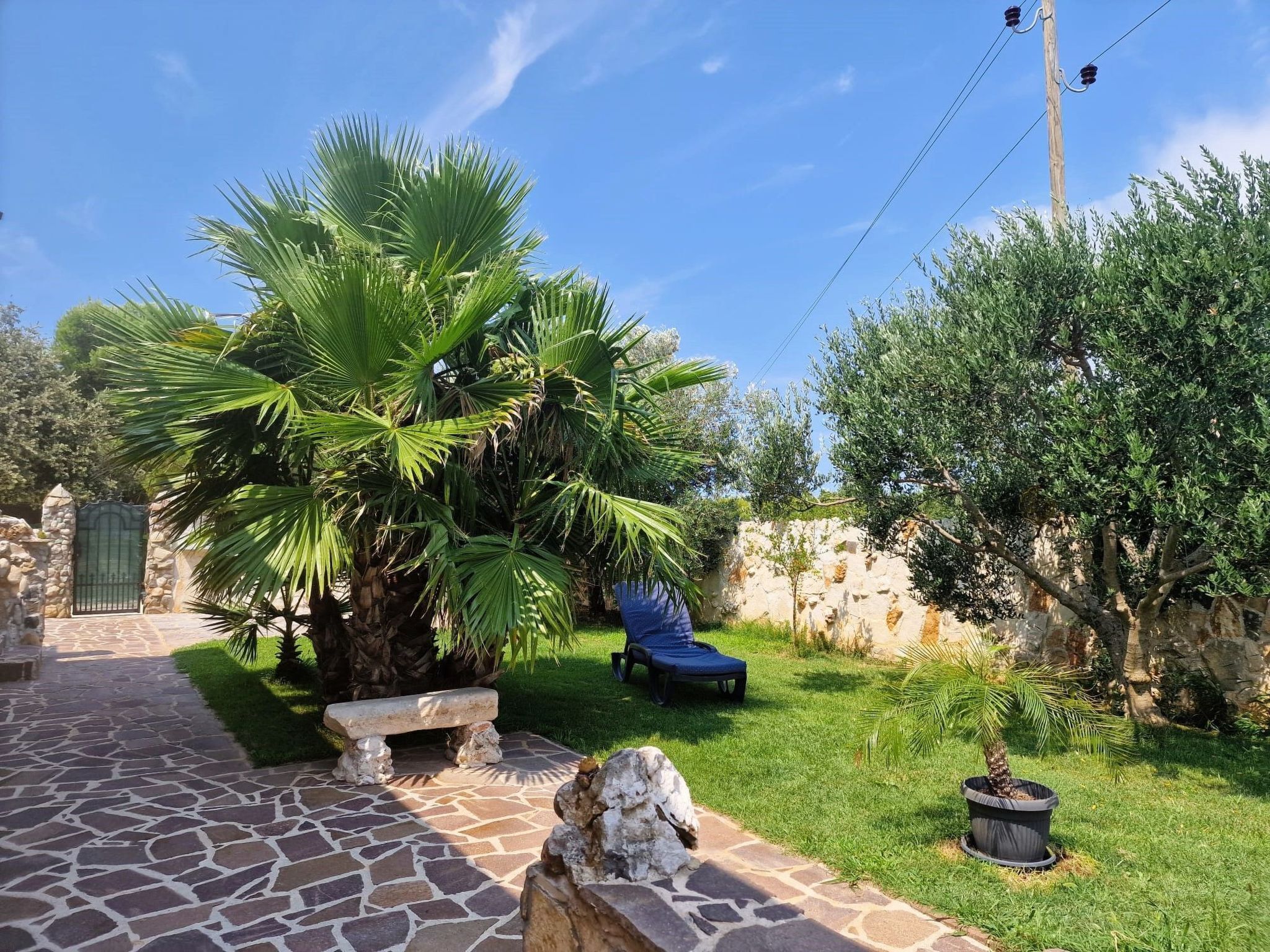 A stone pathway leading to a gate, surrounded by lush greenery and a palm tree.