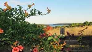 En trädgård med blommande växter och ett staket av trä.