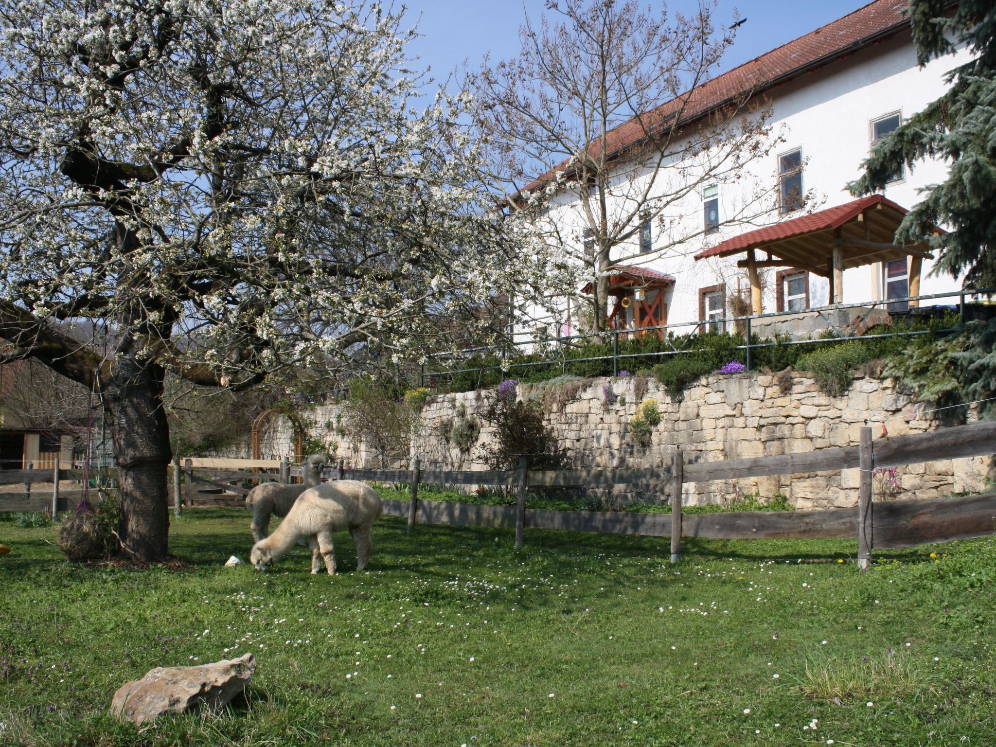 Overnattingsstedets uteområder