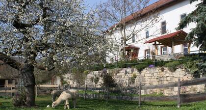 Große Fewo by Interhome