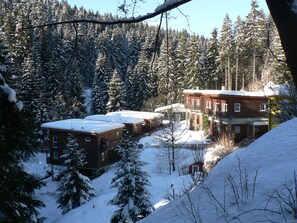 Exterior - für 6 Personen im Thüringer Wald by Interhome (Altenfeld)