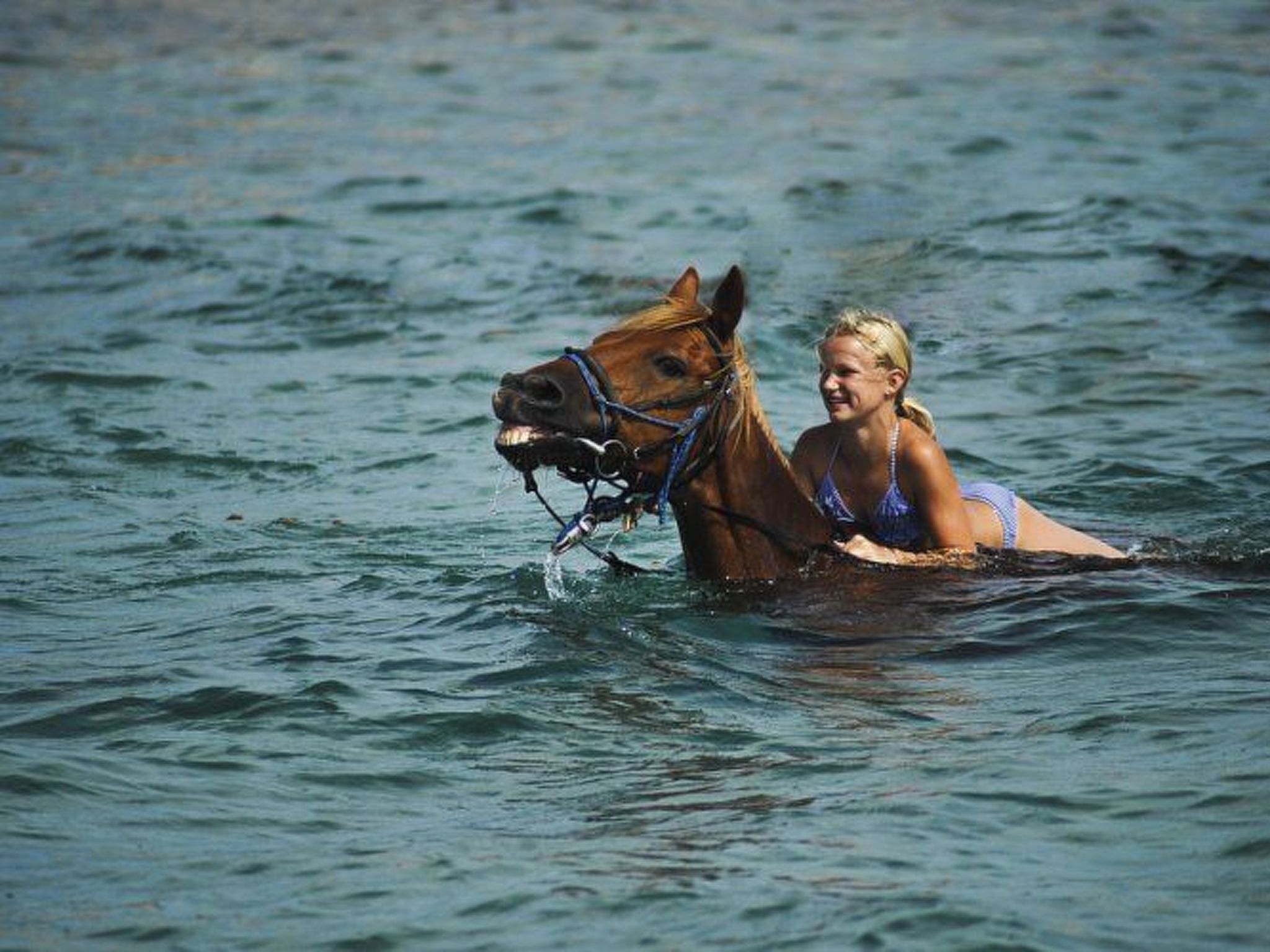 Een persoon in een blauw badpak die op een paard in het water rijdt.