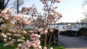 A tree with pink blossoms in a park setting. - Appartement am See by Interhome (Bad Saarow)