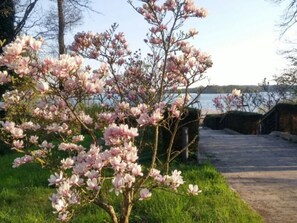 Property grounds - Appartement am See by Interhome (Bad Saarow)