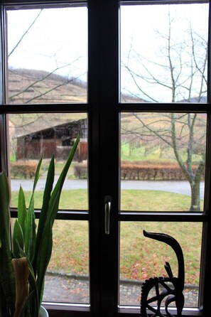 Interior - Med-Face Vosges,im Süden,im Herzen der Weinberge,Ruhig,WiFi by Interhome (Ammerschwihr)