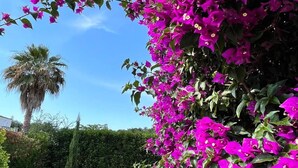 Property grounds - Résidence Amanda by Interhome (Moriani-Plage)