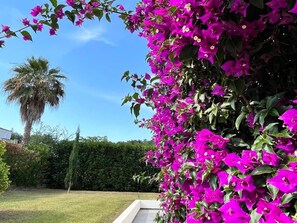 Property grounds - Résidence Amanda by Interhome (Moriani-Plage)