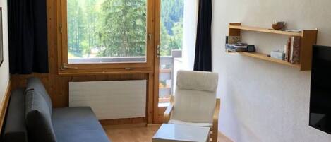 Fernseher, DVD-Player