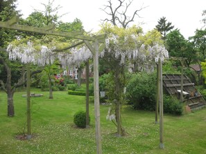 Property grounds - in ehemaliger Dorfschule am Dorfrand by Interhome (Bergen)