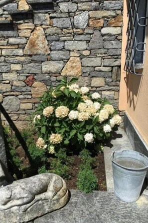 Detall de l'exterior