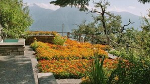 A garden pathway with a stone bench, surrounded by vibrant orange flowers and various shrubs. - "Haus St. Bernhard by Interhome (Orselina)