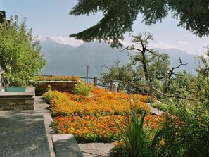 Àrea exterior de l'allotjament