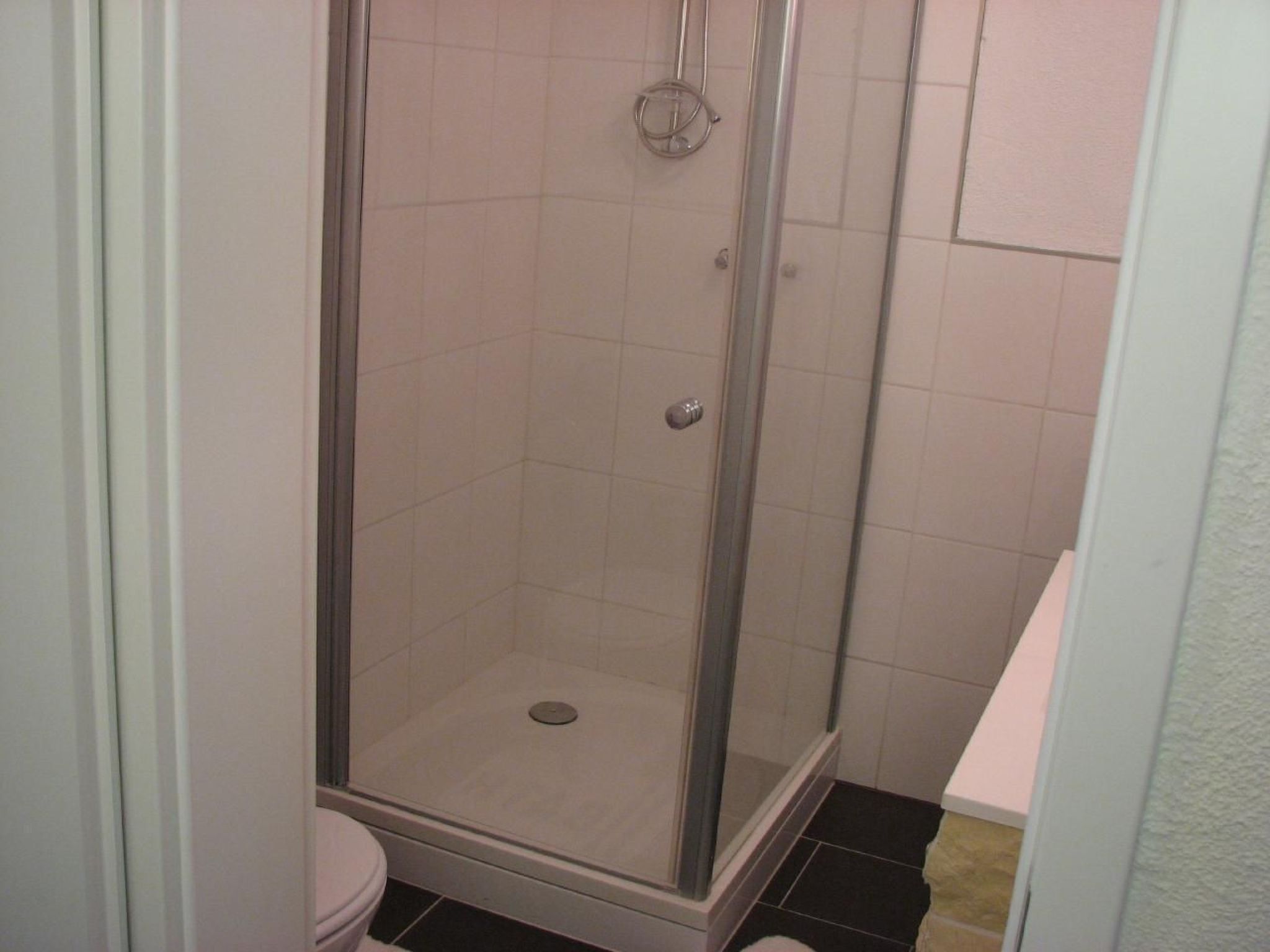 A small, enclosed shower stall with a glass door, a toilet, and a tiled floor.