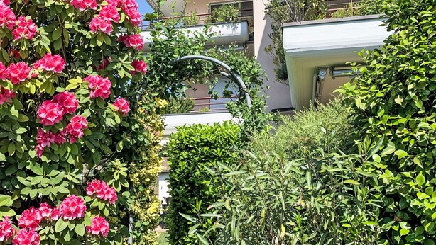 Un immeuble résidentiel doté de balcons, d’une végétation luxuriante et de plantes en fleurs.