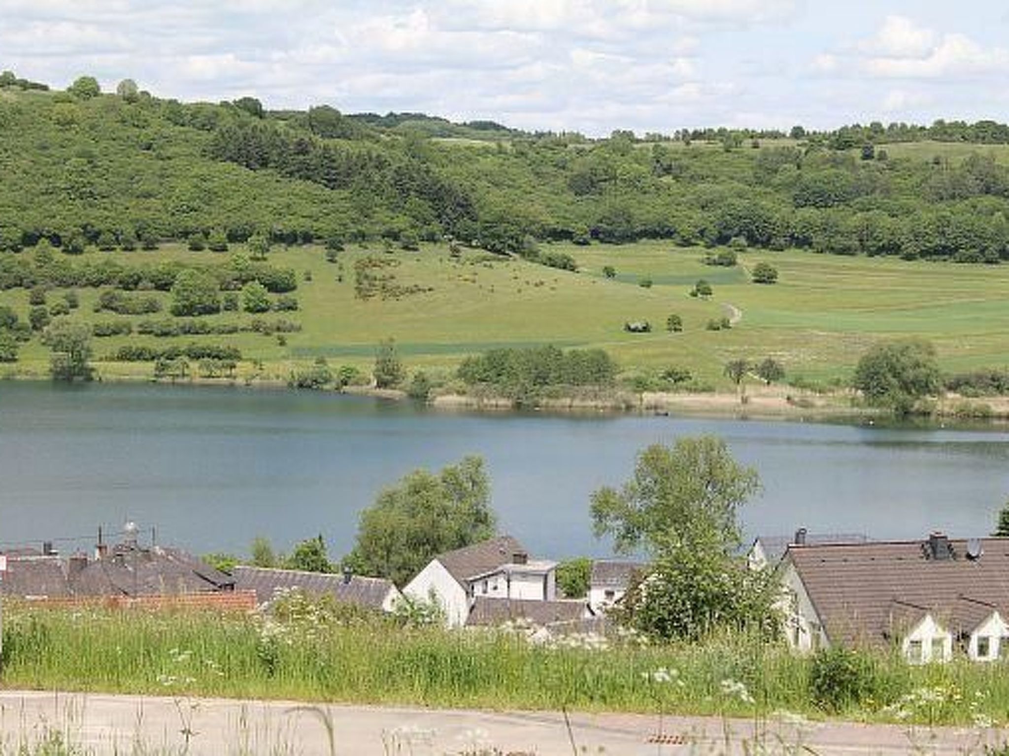 A lakeside view with houses and a forested hill.