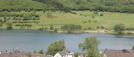 A lakeside view with houses and a forested hill.