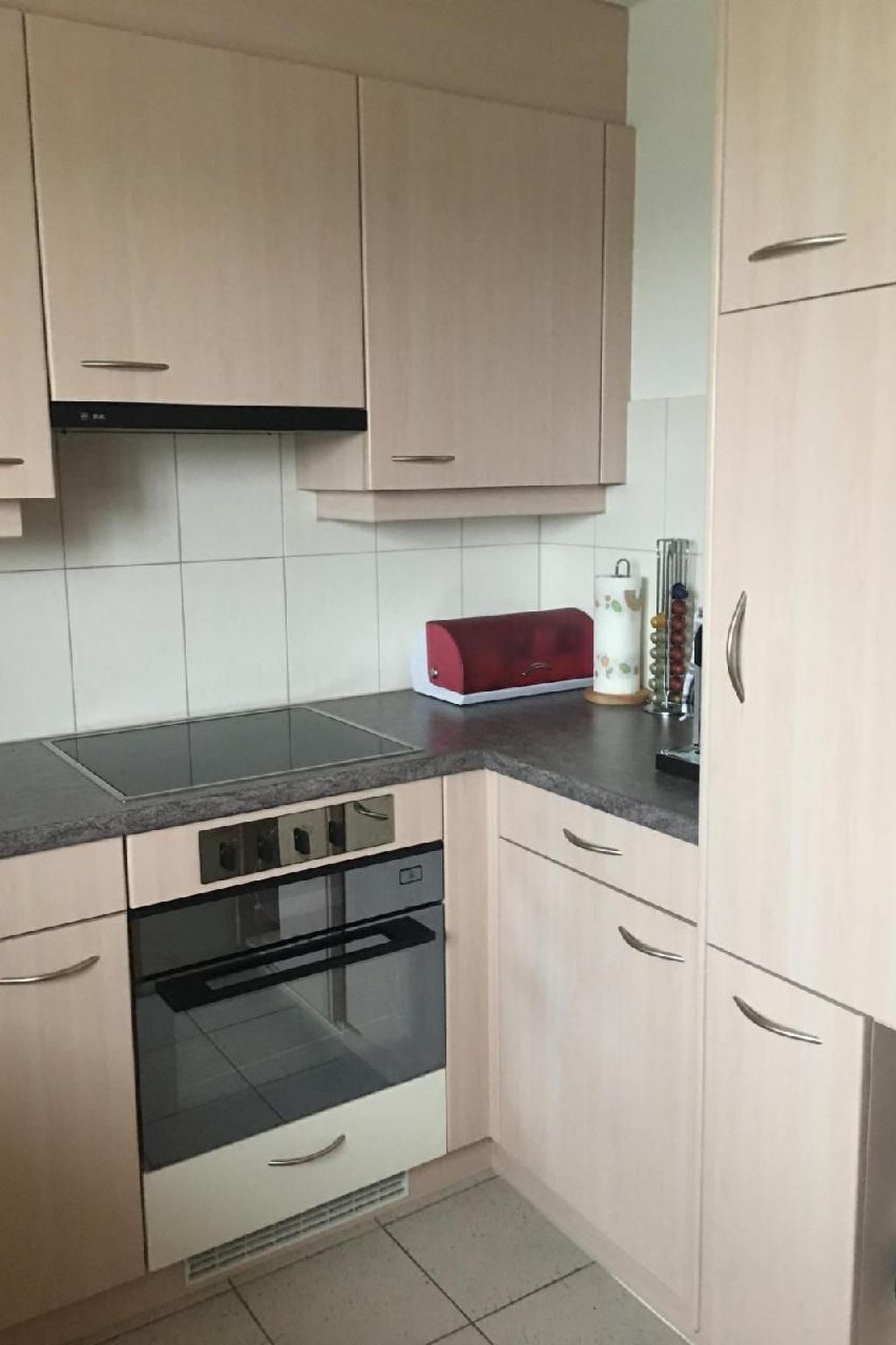 Fridge, oven, dishwasher, cookware/dishes/utensils