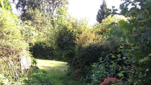 Un sentier de jardin bordé de pierres plates qui traverse une végétation luxuriante.