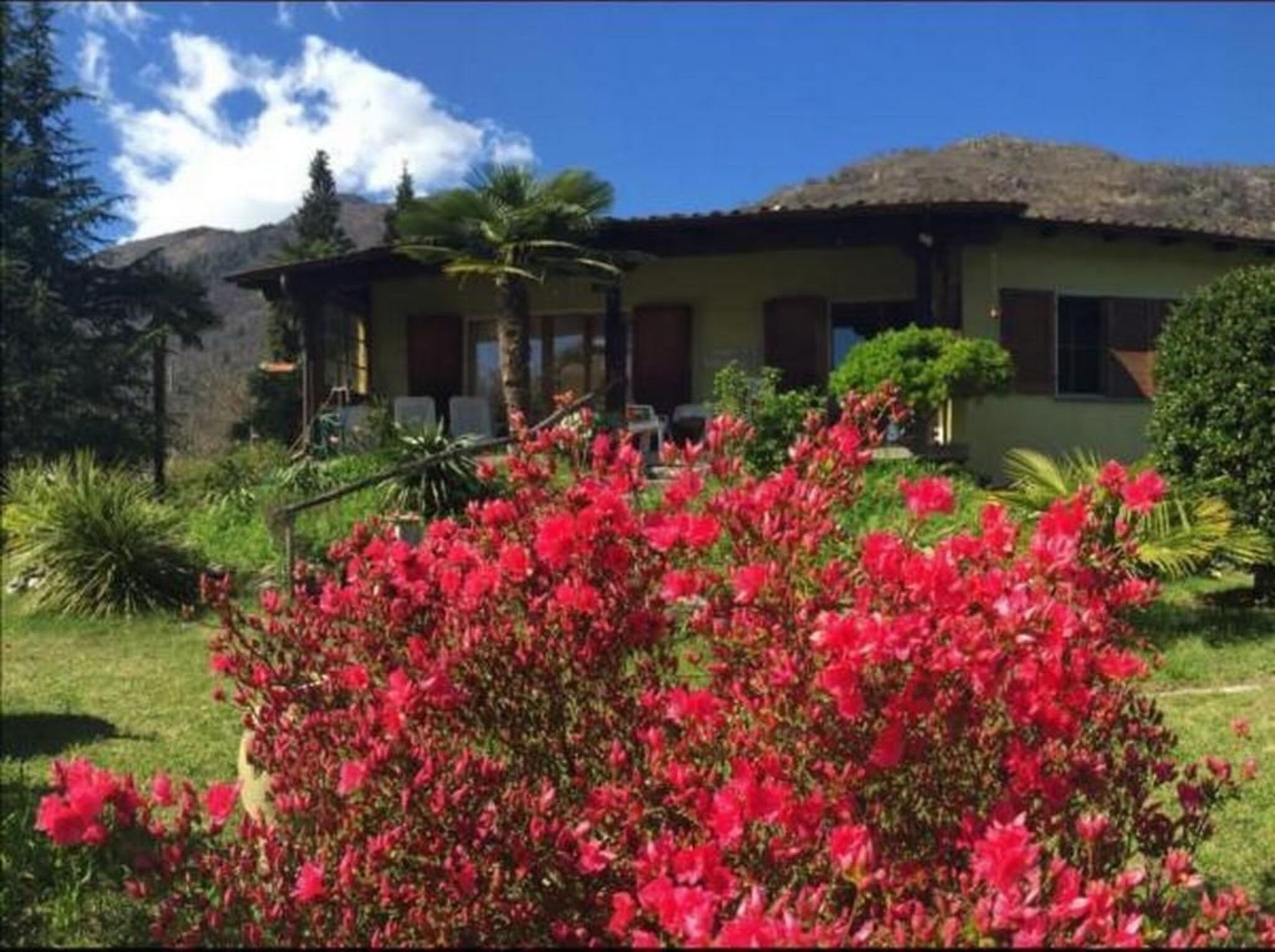 Una casa con techo de paja, rodeada de abundante vegetación y un arbusto rojo intenso en primer plano.