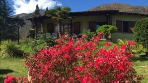 A house with a thatched roof, surrounded by lush greenery and a vibrant red bush in the foreground. - Casa Elena by Interhome (Locarno Tegna)