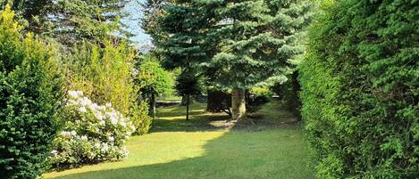 Àrea exterior de l'allotjament