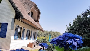 A house with a thatched roof, a brick exterior, and a window with blue shutters. - Haus-Zauberblau by Interhome (Groß Schoritz)