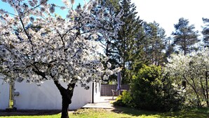 En have med blomstrende træer, en sti og en bygning i baggrunden.