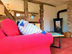 TV, fireplace, DVD player - Fischerhus LüttHauke by Interhome (Altwarp)